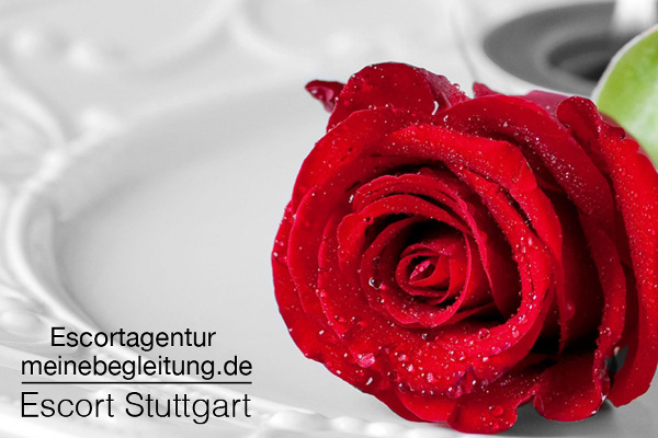 Escort Stuttgart Rose
