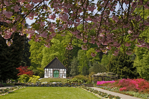 Der botanische Garten in Bielefeld