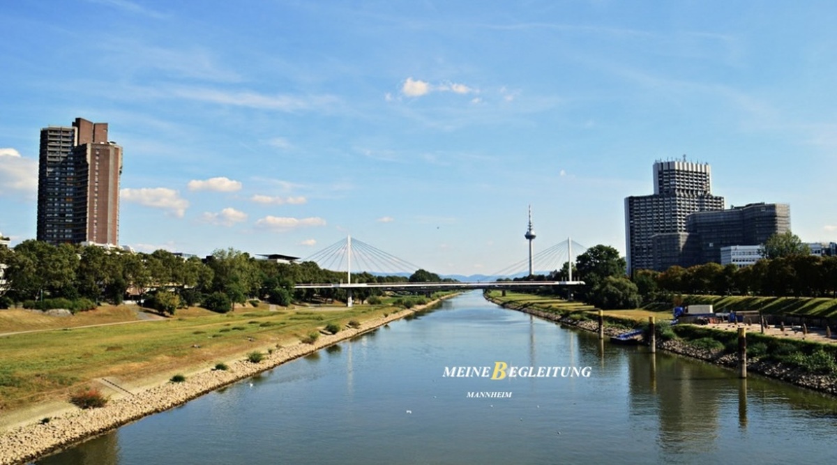 escort mannheim stadt